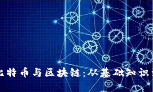 深入了解比特币与区块链：从基础知识到专业发展