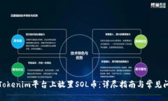如何在Tokenim平台上放置SOL币：详尽指南与常见问