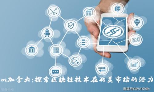 Tokenim加拿大：探索区块链技术在北美市场的潜力与挑战