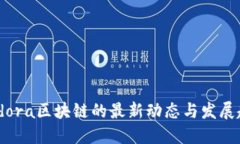 Findora区块链的最新动态与