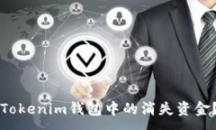 :如何找回Tokenim钱包中的消失资金？详尽指南
