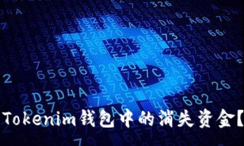 :
如何找回Tokenim钱包中的消失资金？详尽指南