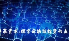 币赢资本：探索区块链投资的未来