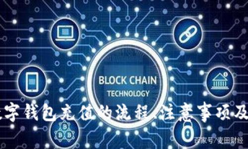 全面解析IM数字钱包充值的流程、注意事项及常见问题解答